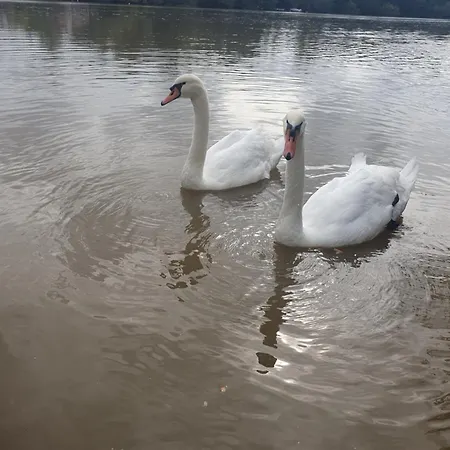 Lägenhet Les Berges Du Seudo *