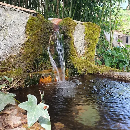 Les Berges Du Seudo * Labastide-de-Lévis